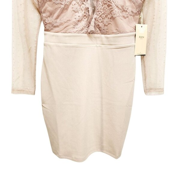 Blāshe Blush Lace Overlay Sheer Polka Dot Mesh Long Sleeve Mini Dress Size Small - Picture 4 of 12
